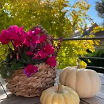 Monopol Apartments *