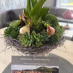 Apartment Monopol Apartments *