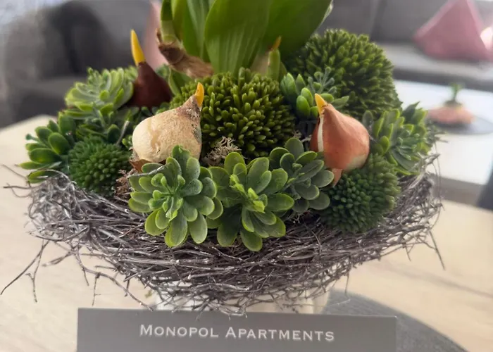 Appartement Monopol *